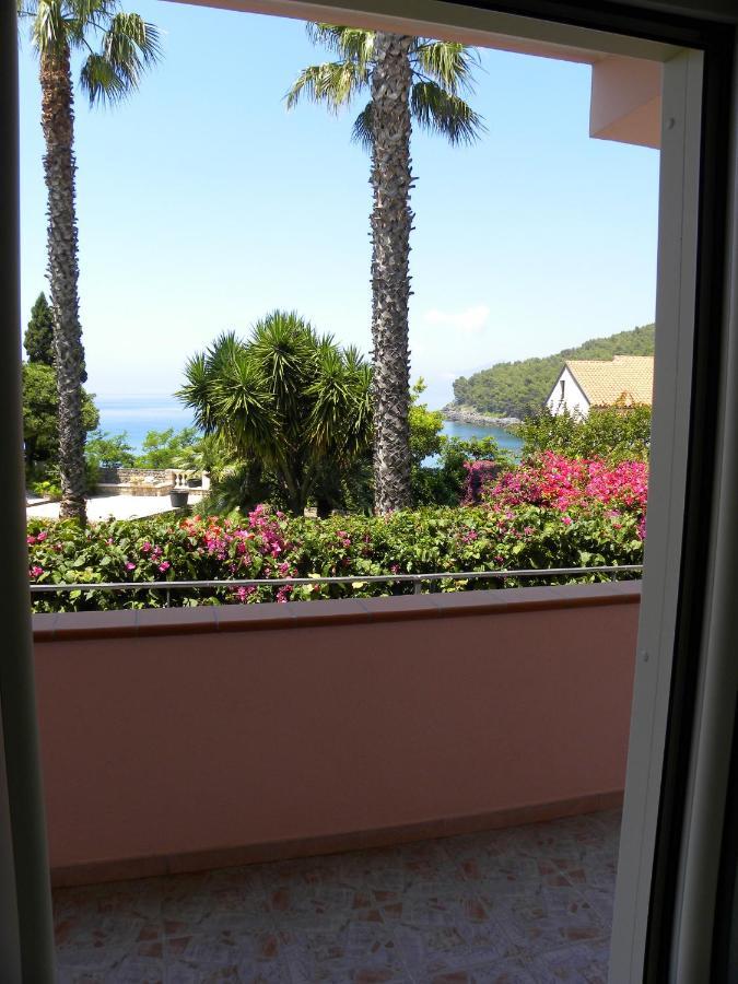 Comfortable Apartment In Maratea With Sea View 95 M² + Parking 外观 照片